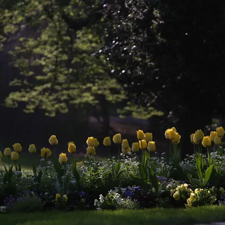 Les De Catherine, La 35 アパート ナンシー