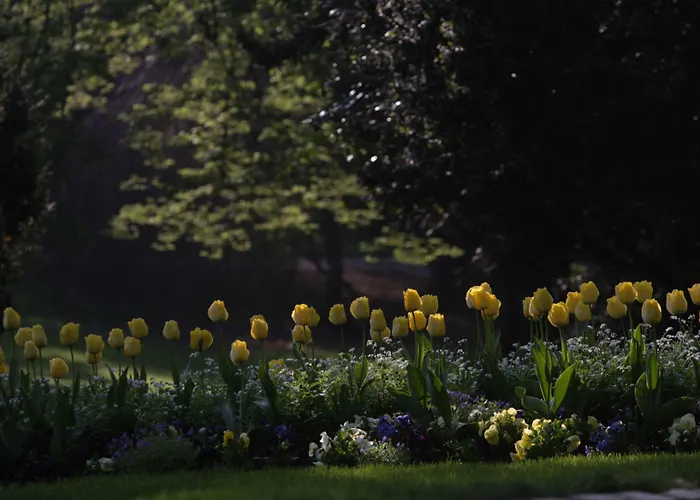 Les De Catherine, La 35 Apartment Nancy